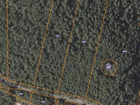 parcelle de terre c91 zone naturelle