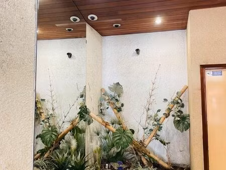 cabinet paramédical location