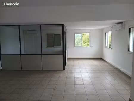 local 74m² professionnel