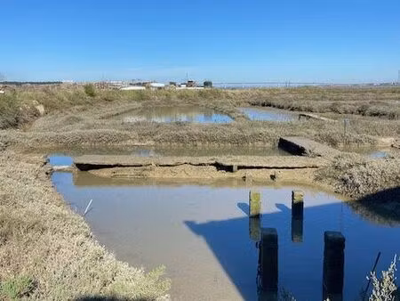 maison 60 m² la tremblade