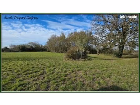 terrain 3 741 m² nachamps