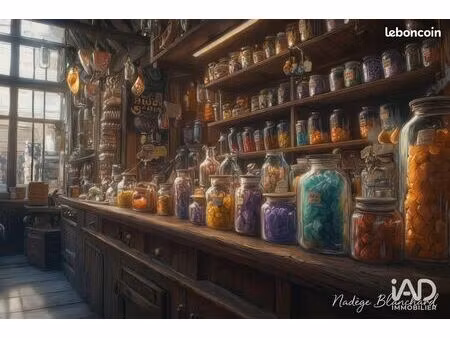 boutique 50 m² saint-martin-de-ré