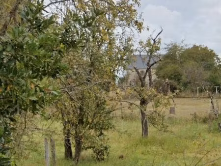 vente terrain viabilisé