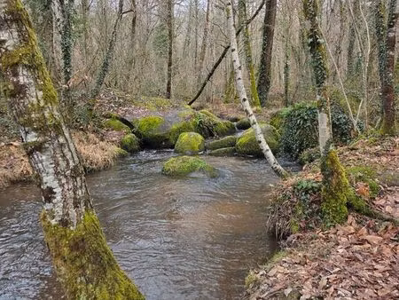 recherche maison à la campagne