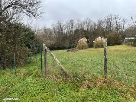 terrain constructible