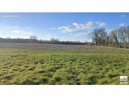 terrain 4 300 m² bourg du bost