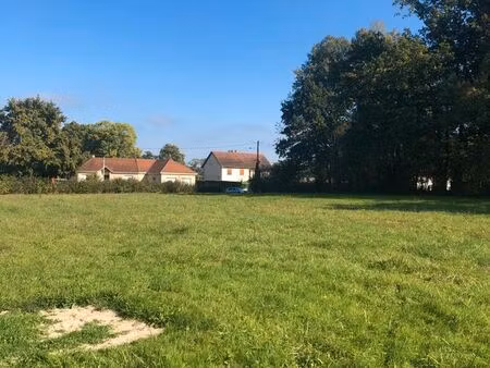 terrain constructible