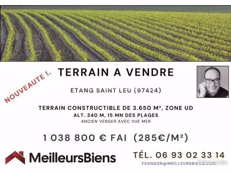 terrain 3 650 m² saint leu
