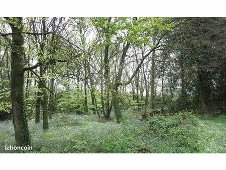 recherche parcelle de bois