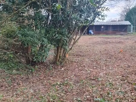 petit terrain pour jardin