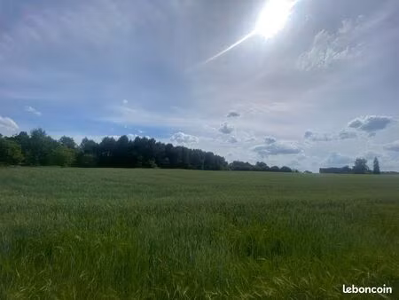 terrain 1619 m² montrem