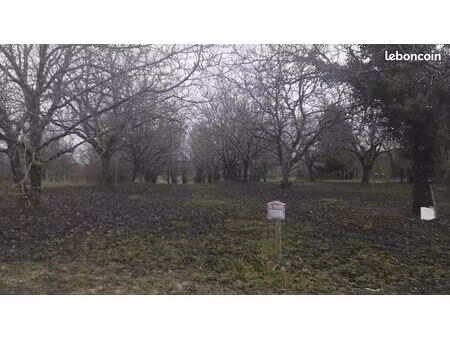 terrain constructible