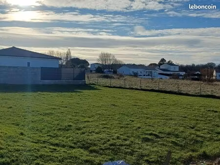 terrain constructible