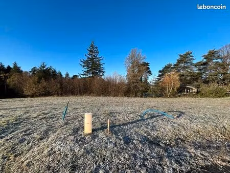 terrain 1 602 m² palazinges