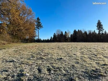 terrain 1 728 m² palazinges