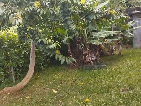 location f4/5 meublée