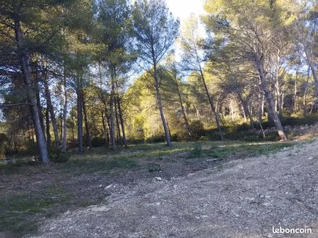 terrain 800m2 :276000 euros (345euros m2)