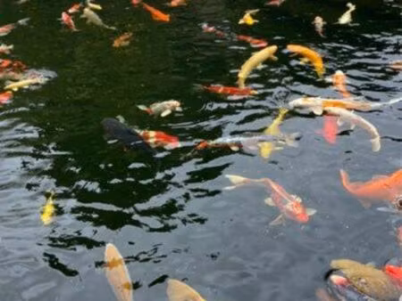 recherche maison plein pied