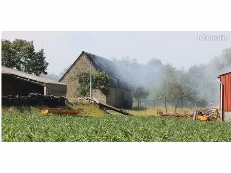 recherche maison avec grand terrain