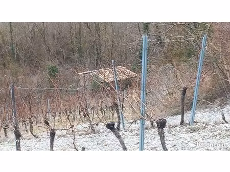 cabanon bord de drome avec 1 hectare de vigne