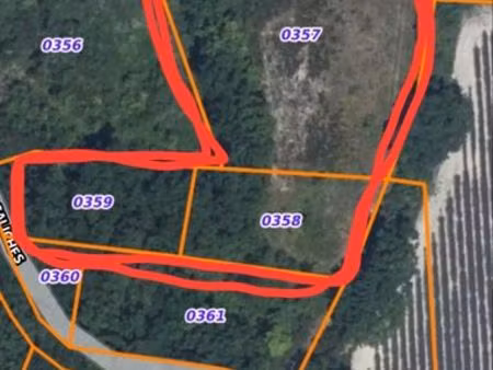 terrain loisir plat avec chêne