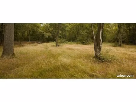 parcelle de terrain naturelle