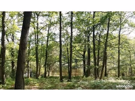 recherche terrain boisé ou forêt à acheter