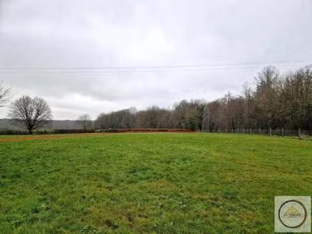terrain à bâtir plat de 25 ares à sivry-rance sud-ouest!
