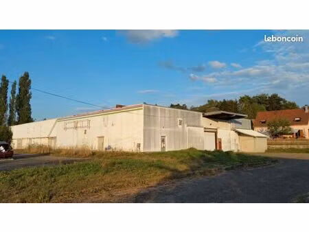 local commercial entrepot et terrain