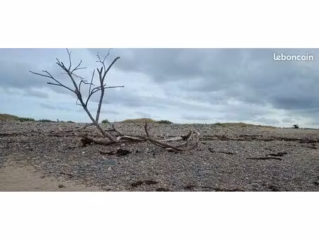 terrain constructible