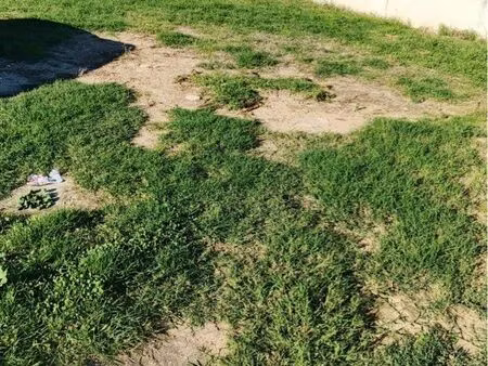 terrain constructible