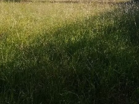 terrain agricole 1.2ha