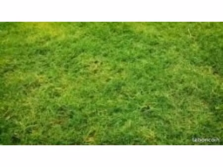 beau terrain dans lotissement botshorel