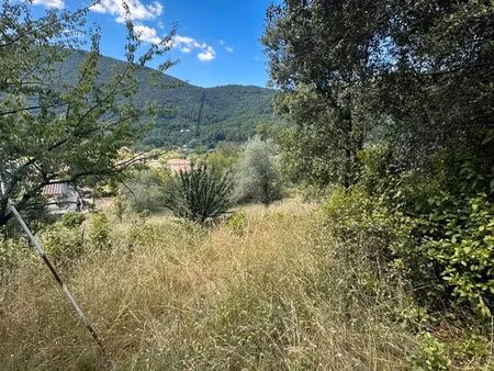 terrain en faïsses avec vue dégagée sur les montagnes