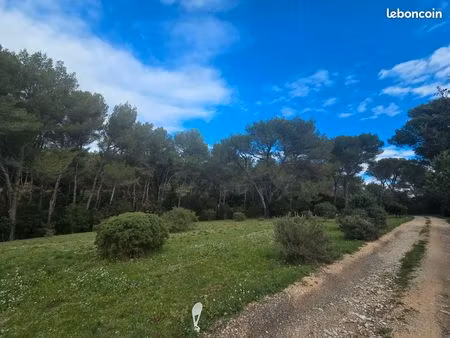 terrains à bâtir en pleine nature