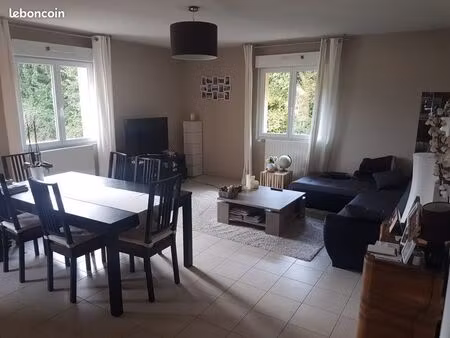 magnifique f4  terrasse et garage