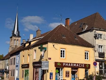 local professionnel 21320 pouilly en auxois