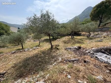 terrain constructible