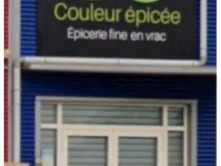 locaux commerciaux rocade ales