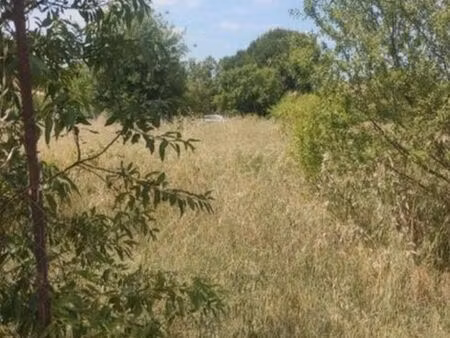 terrain constructible