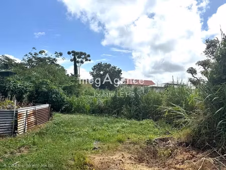 vente terrain 1977 m² à cayenne (97300)  680 000 €