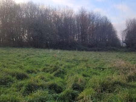 vente terrain à javené (35133) : à vendre / javené