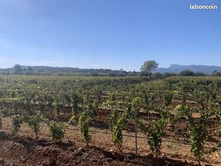 terrain 113500 m² vidauban