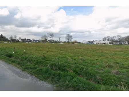 vente terrain à saint-armel (35230) : à vendre / saint-armel