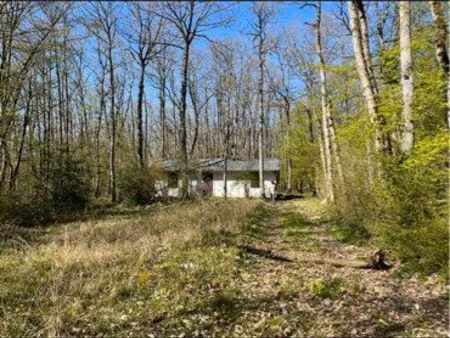 terrain boisé avec chalet
