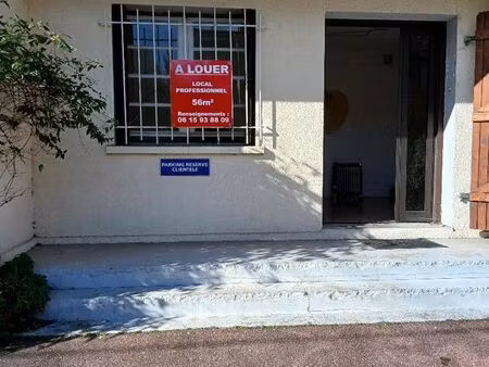 local professionnel/bureaux toulouse roseraie