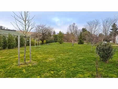 vente terrain 930 m² pont-sur-yonne (89140)