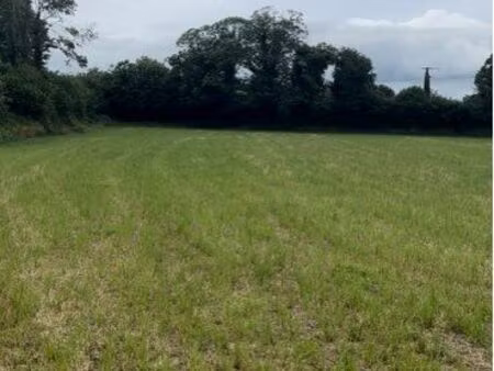 a loue grand terrain