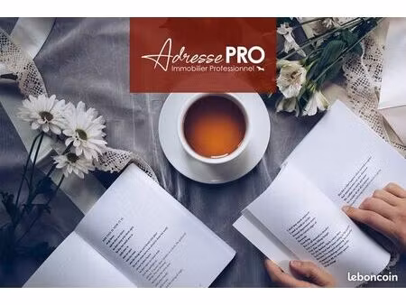 local commercial 36 m²