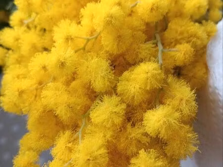 recherche petite maison